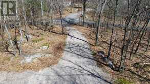 1851 INVERLOCHY ROAD | Carling Ontario | Slide Image Two