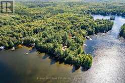 2 - 2991 MUSKOKA RD 117 ROAD | Baysville Ontario | Slide Image Ten