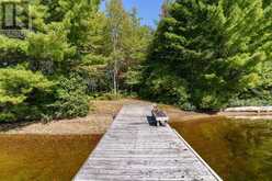 2 - 2991 MUSKOKA RD 117 ROAD | Baysville Ontario | Slide Image Twelve