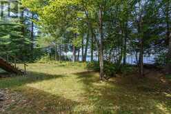 2 - 2991 MUSKOKA RD 117 ROAD | Baysville Ontario | Slide Image Seventeen