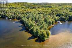 2 - 2991 MUSKOKA RD 117 ROAD | Baysville Ontario | Slide Image One