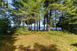2 - 2991 MUSKOKA RD 117 ROAD | Baysville Ontario | Slide Image Three