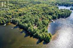 2 - 2991 MUSKOKA RD 117 ROAD | Baysville Ontario | Slide Image Four