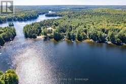 2 - 2991 MUSKOKA RD 117 ROAD | Baysville Ontario | Slide Image Five