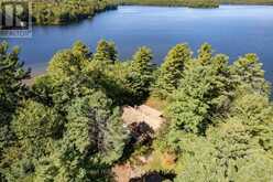 2 - 2991 MUSKOKA RD 117 ROAD | Baysville Ontario | Slide Image Nine