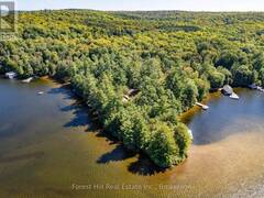 2 - 2991 MUSKOKA RD 117 ROAD Baysville Ontario, P0B 1A0