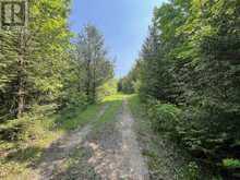502774 SIDEROAD 9 WGR | Durham Ontario | Slide Image Two