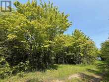 502774 SIDEROAD 9 WGR | Durham Ontario | Slide Image Three