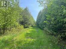 502774 SIDEROAD 9 WGR | Durham Ontario | Slide Image Eight