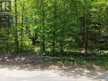 0 MINK LOT 17 ROAD | Haliburton Ontario | Slide Image Five