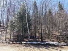 0 MINK LOT 17 ROAD | Haliburton Ontario | Slide Image Seven