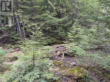 PT LT35 CON 3 WBR PT 77 CONCESSION | Lion's Head Ontario | Slide Image Ten