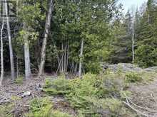 PT LT35 CON 3 WBR PT 77 CONCESSION | Lion's Head Ontario | Slide Image Twelve