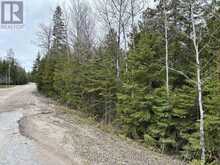 PT LT35 CON 3 WBR PT 77 CONCESSION | Lion's Head Ontario | Slide Image Four