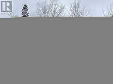 PT LT35 CON 3 WBR PT 77 CONCESSION | Lion's Head Ontario | Slide Image Seven