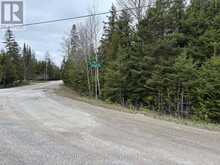 PT LT35 CON 3 WBR PT 77 CONCESSION | Lion's Head Ontario | Slide Image Three