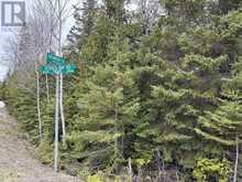 PT LT35 CON 3 WBR PT 77 CONCESSION | Lion's Head Ontario | Slide Image Two