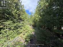 PT LT35 CON 3 WBR PT 77 CONCESSION | Lion's Head Ontario | Slide Image Twelve