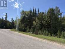 PT LT35 CON 3 WBR PT 77 CONCESSION | Lion's Head Ontario | Slide Image Fifteen