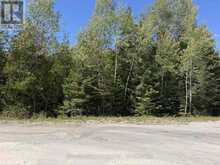 PT LT35 CON 3 WBR PT 77 CONCESSION | Lion's Head Ontario | Slide Image One