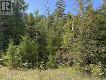 PT LT35 CON 3 WBR PT 77 CONCESSION | Lion's Head Ontario | Slide Image Five