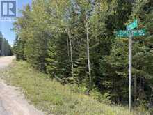PT LT35 CON 3 WBR PT 77 CONCESSION | Lion's Head Ontario | Slide Image Six