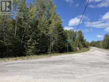 PT LT35 CON 3 WBR PT 77 CONCESSION | Lion's Head Ontario | Slide Image Eight