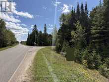 PT LT35 CON 3 WBR PT 77 CONCESSION | Lion's Head Ontario | Slide Image Sixteen