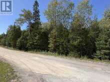 PT LT35 CON 3 WBR PT 77 CONCESSION | Lion's Head Ontario | Slide Image Nine