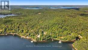 2718 WILKINSON ROAD | Haliburton Ontario | Slide Image Forty-three