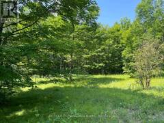 0 GLAMOR LAKE ROAD Highlands East Ontario, K0M 1R0