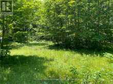 0 GLAMOR LAKE ROAD | Highlands East Ontario | Slide Image Eleven
