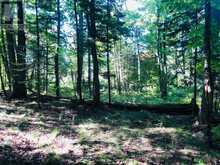 0 GLAMOR LAKE ROAD | Highlands East Ontario | Slide Image Twelve
