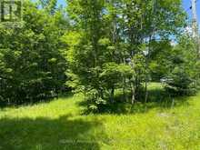 0 GLAMOR LAKE ROAD | Highlands East Ontario | Slide Image Two