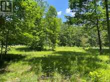 0 GLAMOR LAKE ROAD | Highlands East Ontario | Slide Image Seven