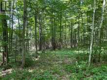 0 GLAMOR LAKE ROAD | Highlands East Ontario | Slide Image Nine