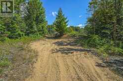 LOT 2 SIXTH STREET | Sauble Beach Ontario | Slide Image Twelve