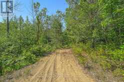 LOT 2 SIXTH STREET | Sauble Beach Ontario | Slide Image Thirteen