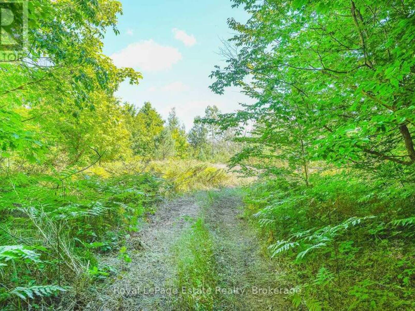 LOT 3 SIXTH STREET, Sauble Beach, Ontario N0H 2G0