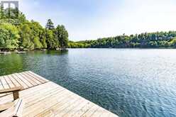 1 - 1060 SKELETON LAKE 3 ROAD | Utterson Ontario | Slide Image Two