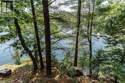 1 - 1060 SKELETON LAKE 3 ROAD | Utterson Ontario | Slide Image Thirty-one