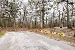 8 POPLAR STREET | Wasaga Beach Ontario | Slide Image Eight