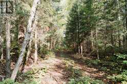 445 FOX RUN | Temagami Ontario | Slide Image Eleven