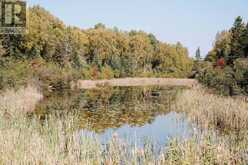 445 FOX RUN | Temagami Ontario | Slide Image Twelve