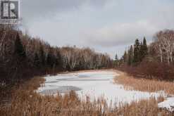 445 FOX RUN | Temagami Ontario | Slide Image Thirteen