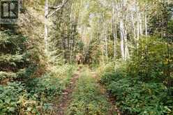 445 FOX RUN | Temagami Ontario | Slide Image Three