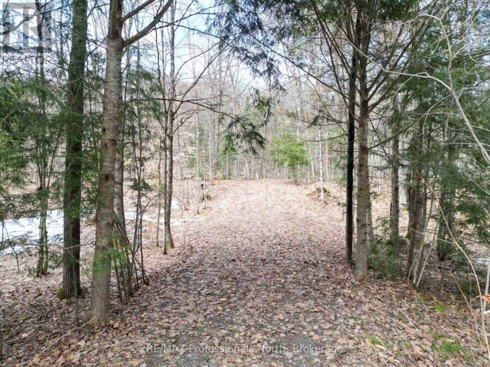 1231 BIG HAWK LAKE ROAD, Algonquin Highlands, Ontario K0M 1J2