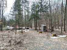 1231 BIG HAWK LAKE ROAD | Algonquin Highlands Ontario | Slide Image Ten