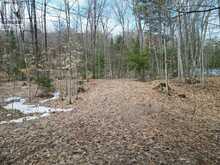 1231 BIG HAWK LAKE ROAD | Algonquin Highlands Ontario | Slide Image Three