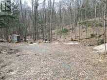1231 BIG HAWK LAKE ROAD | Algonquin Highlands Ontario | Slide Image Eight
